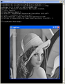 Thumbnail for version as of 00:59, 31 October 2008